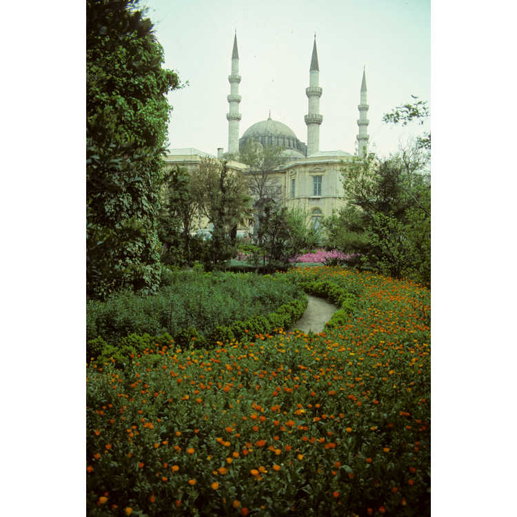 Istanbul Botanical Garden
