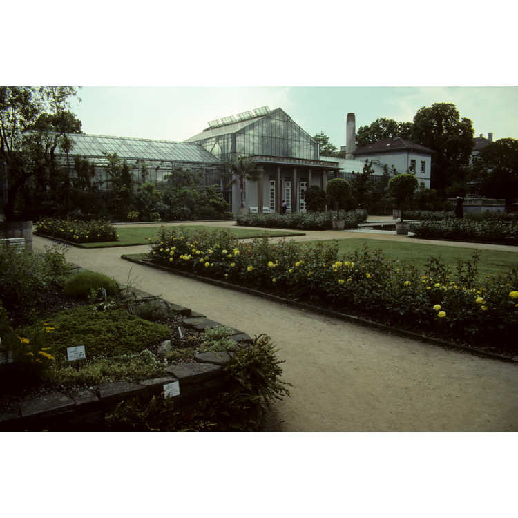 University of Bonn Botanical Garden