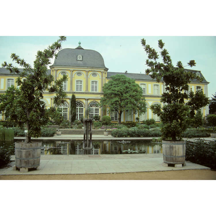 University of Bonn Botanical Garden