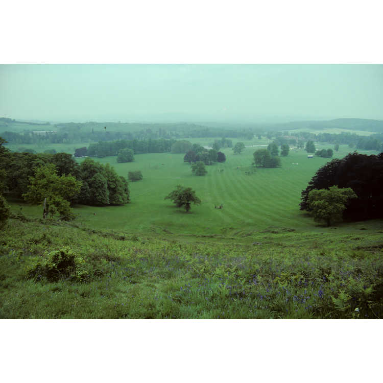Wiltshire