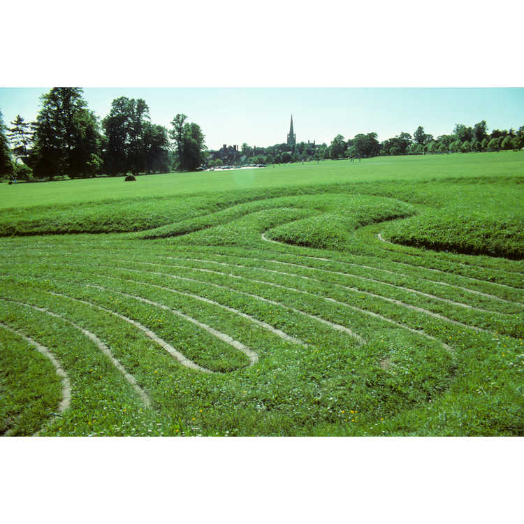 saffron Walden town maze