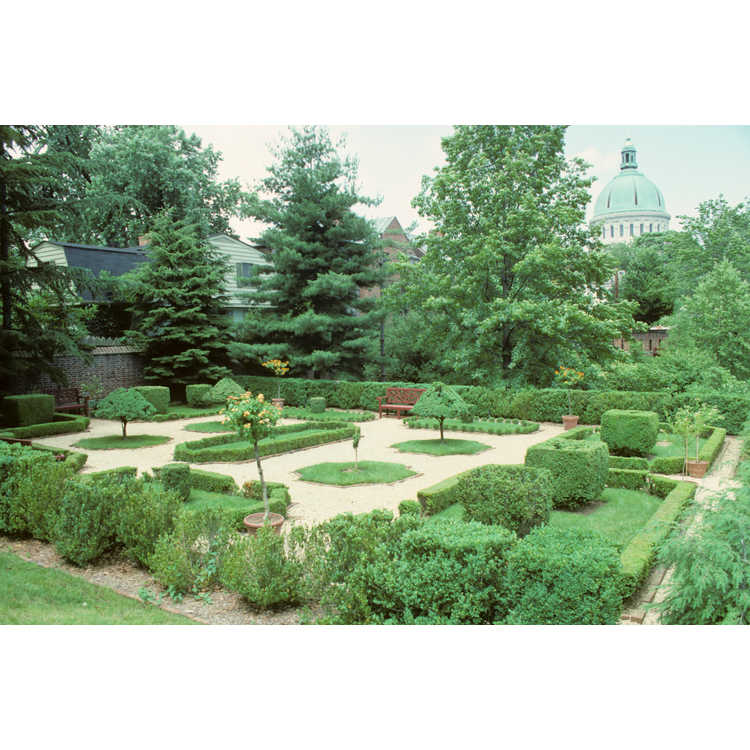 William paca garden