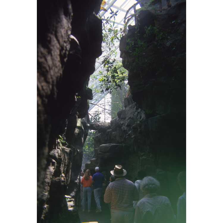 Russell cave historic site