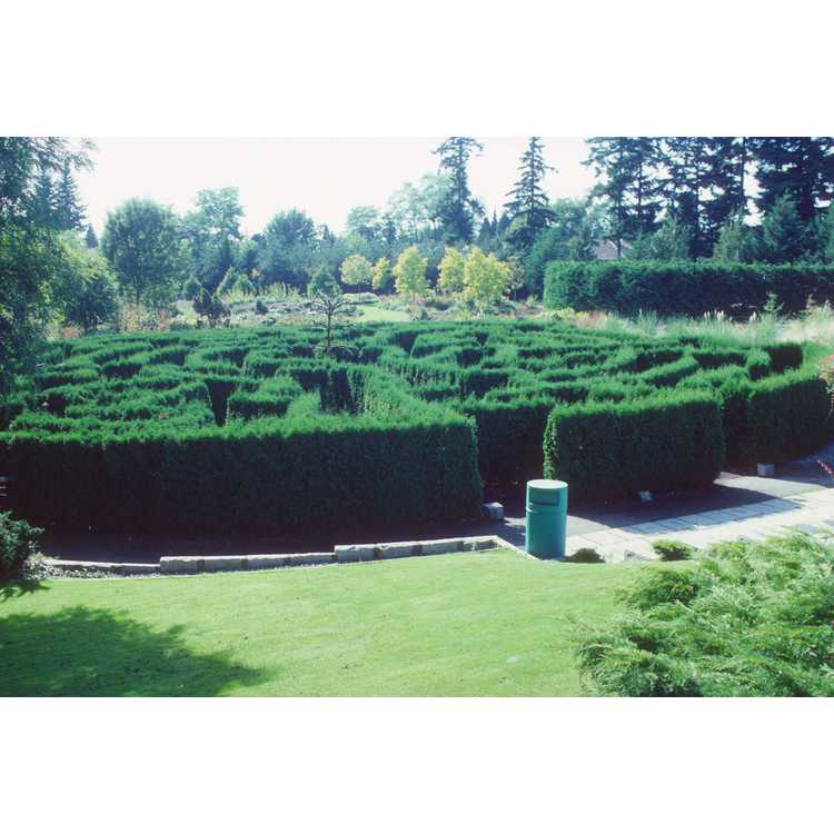 Van Dusen Gardens