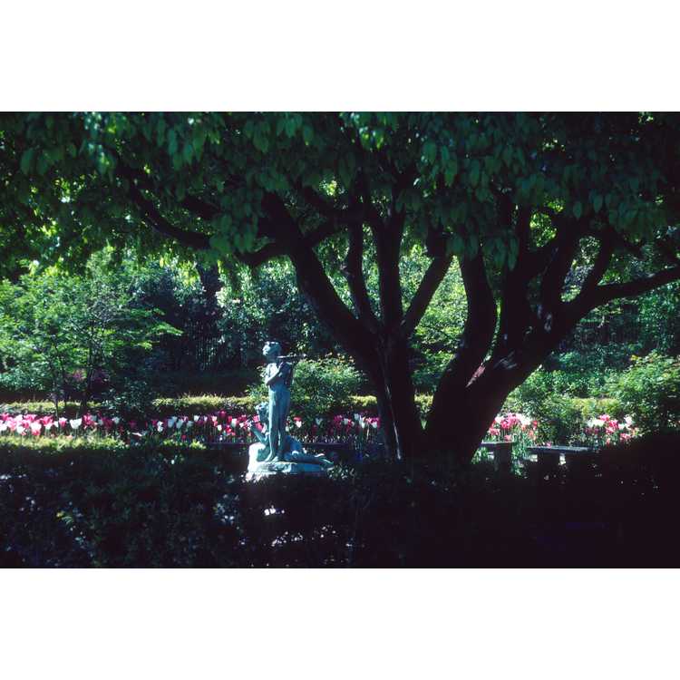 Central Park, Conservatory Garden
