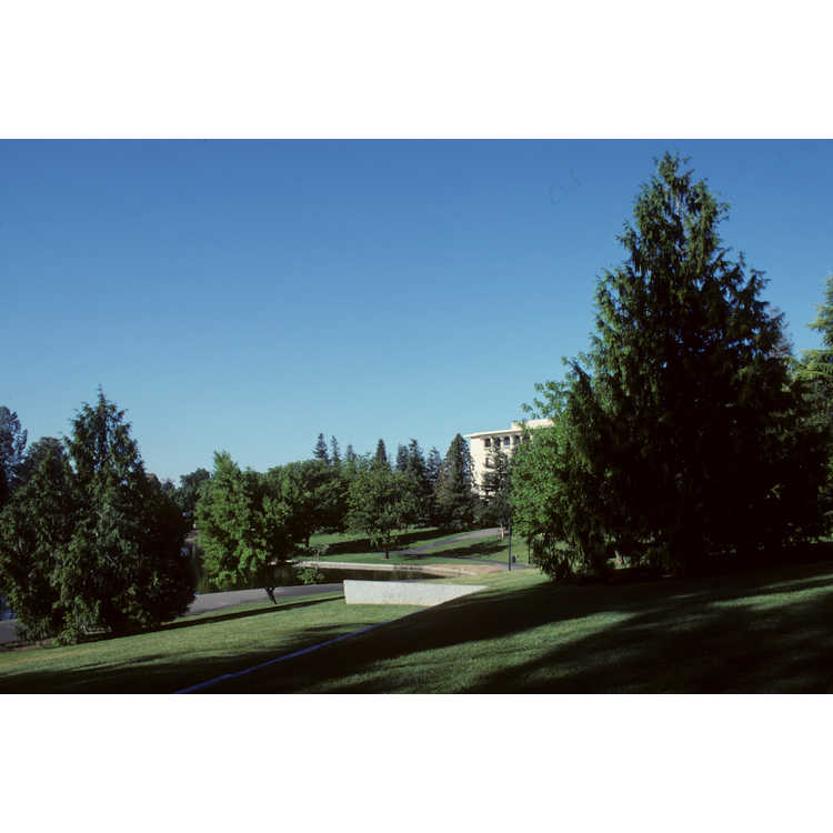University of California at Davis Arboretum