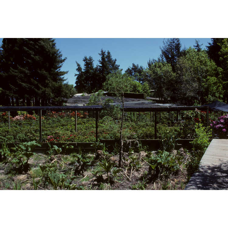 Sonoma Horticultural Nursery