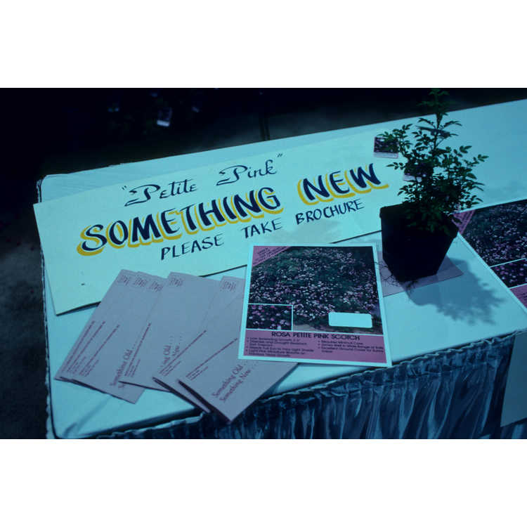 sna southern nurserymen’s association trade show