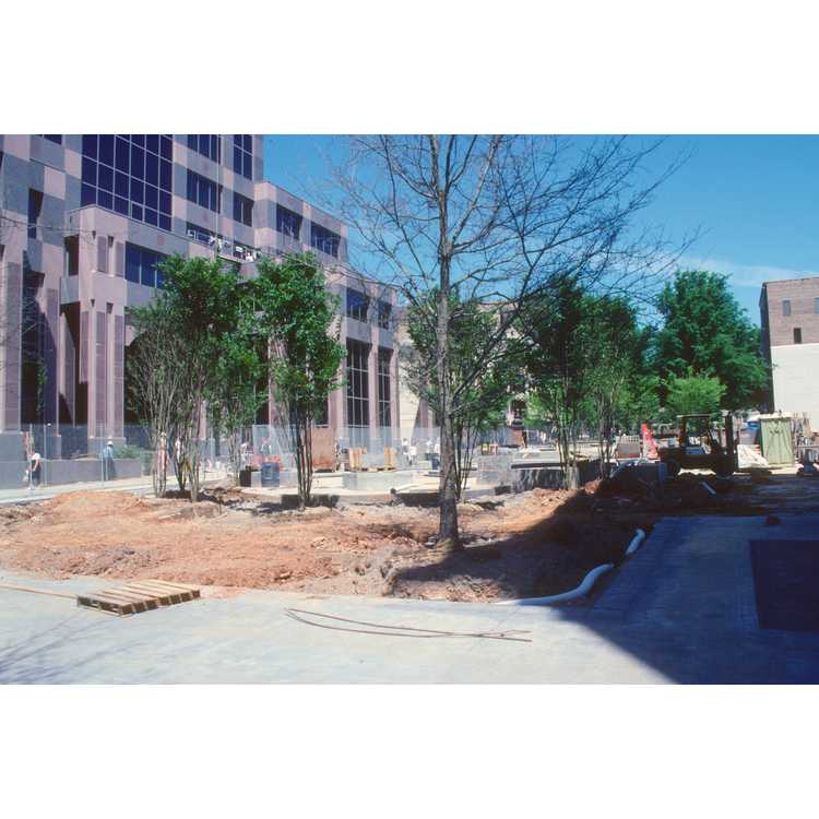 downtown Raleigh construction