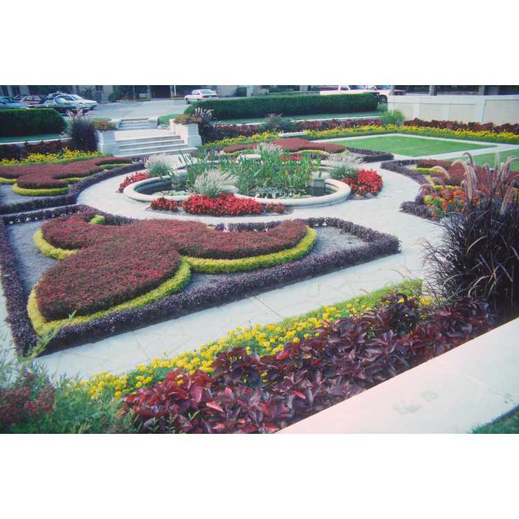 tulsa garden center