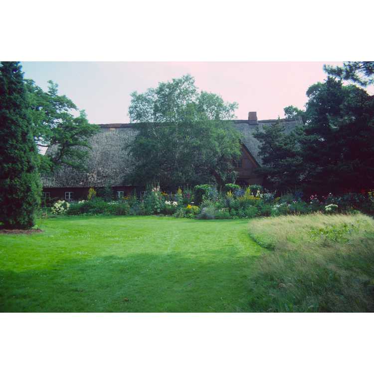 university botanic garden, arboretum