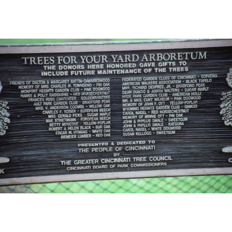 Trees for your yard Arboretum