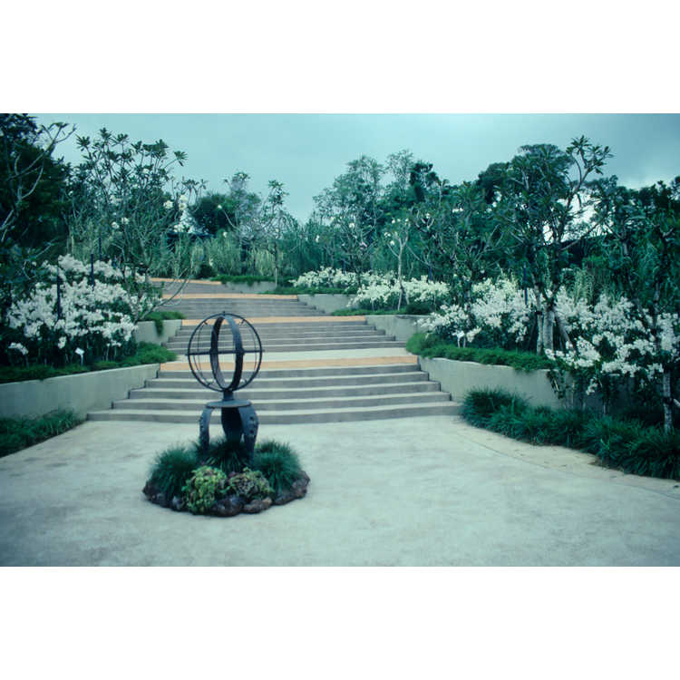 singapore botanical garden; national orchid garden