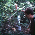 Charles Fooks (left) and tomasz Anisko (right) in a boxwood forest.
