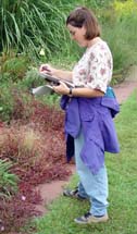 Judy Morgan-Davis studies the Perennial Border for the "Now Showing" plants.
