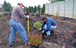 Anne Calta (left) and Jon Roethling (right) plant the District X Garden Clubs Wall Garden.