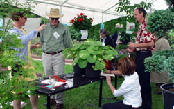 The plant auction at the Gala in the Garden.