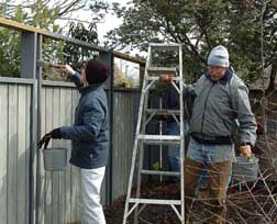 Barbara Kennedy and Charlie Kidder (left to right) brave the cold temperatures along with the other volunteers staining the fence.