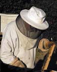 Charles Heatherly and his honeybees