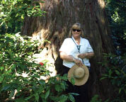 Anne Porter with Sequoiadendron giganteum