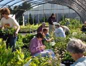 Labeling plants for Annual Plant Distribution