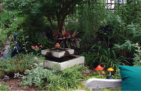 Barbara and Loren Kennedy's garden