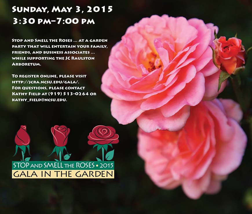 Gala in the Garden - Sunday, May 3, 2015 - 3:30 PM-7:00 PM - … at a garden party that will entertain your family, friends, and business associates … while supporting the JC Raulston Arboretum. To register online, please visit https://jcra.ncsu.edu/gala/. For questions, please contact Kathy Field at (919) 513-0264 or kathy_field@ncsu.edu.