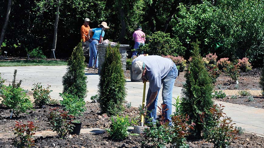 volunteers planting Finley-Nottingham Rose Garden
