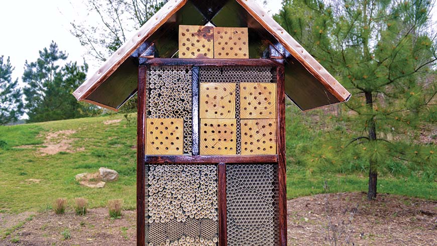 Jonathan and Sara June Giacomini's bee hotel on NC State's Centennial Campus
