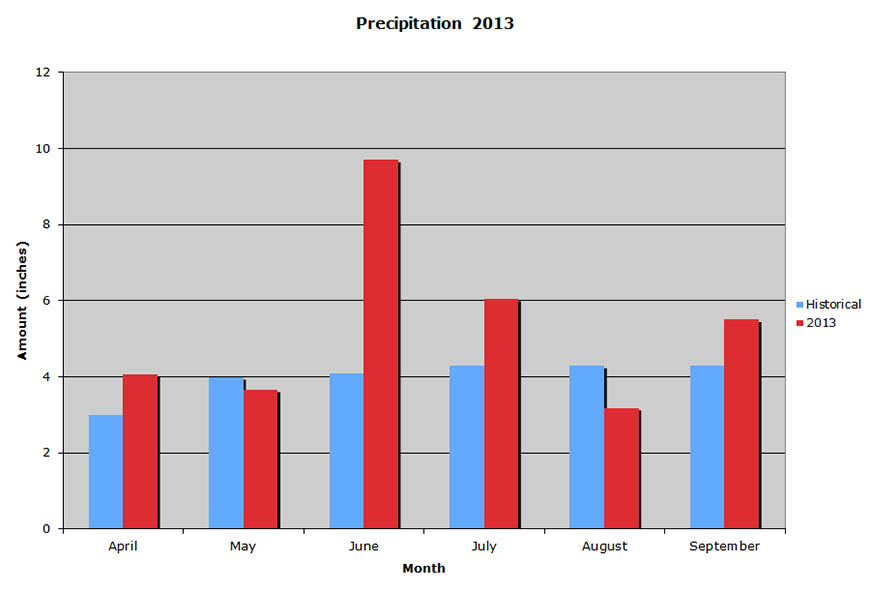 Precipitation  2013 Graph