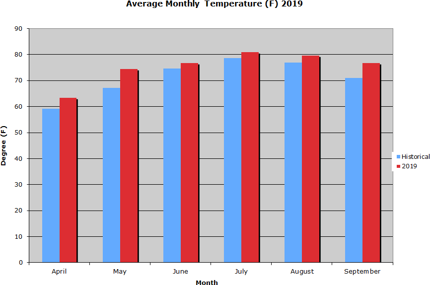 Average Monthly Temperature  2019 Graph