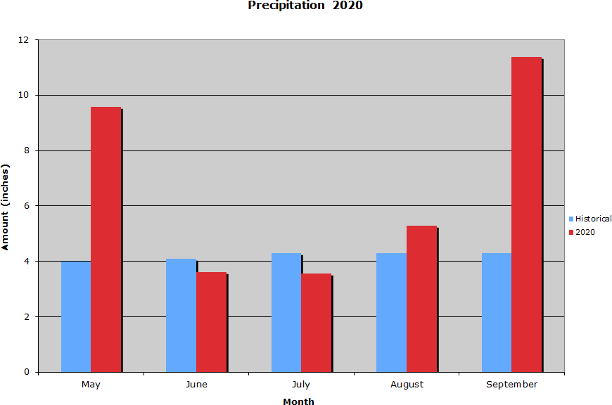 Precipitation  2020 Graph