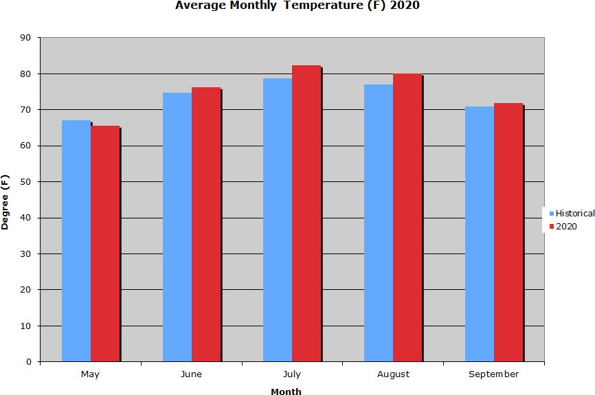 Average Monthly Temperature  2020 Graph
