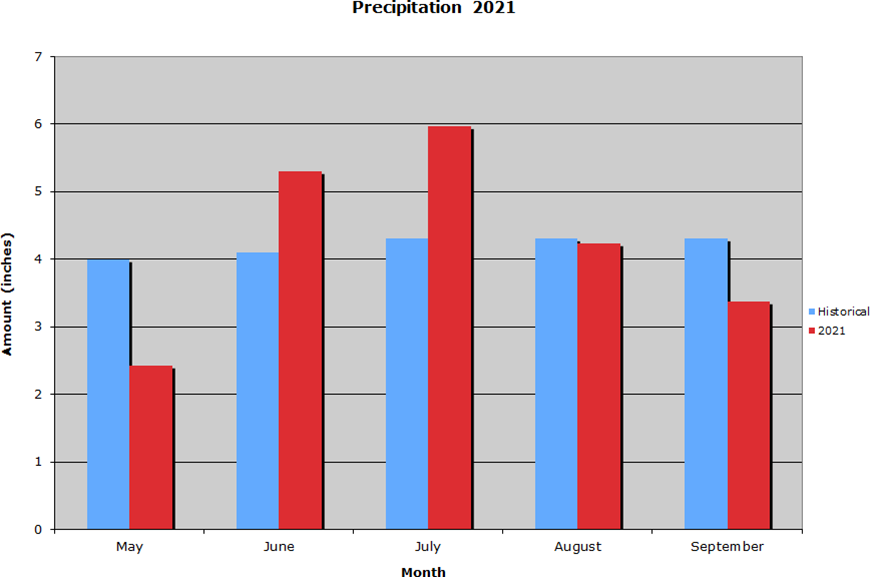 Precipitation  2021 Graph