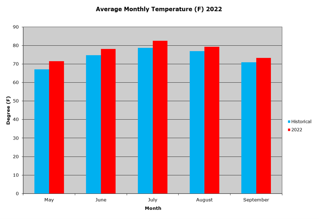 Average Monthly Temperature  2022 Graph