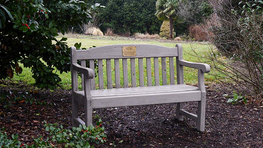 bench in garden setting