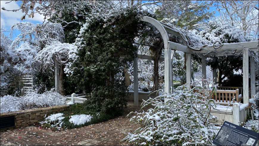 Photo of the White Garden Arbor