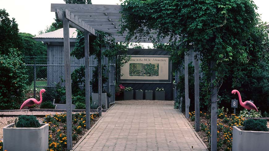 original entrance to NCSU Arboretum