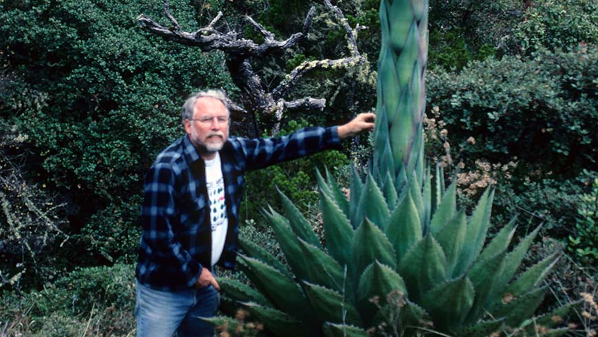J. C. Raulston poses with flowering agave