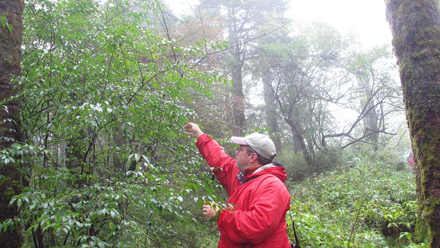 Mark Weathington collecting plants in China
